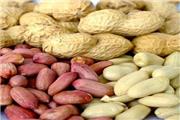 تاثیر بسته‌بندی بادام زمینی بر درآمد بادامکاران