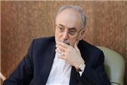 اقدامات اولیه برای طراحی سوخت مدرن 20 درصد آغاز شد