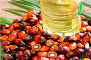 روغن‌های گیاهی تا 100 دلار گران می‌شوند