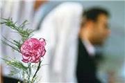 دلیل اصلی عدم اجرای قانون تسهیل ازدواج استنکاف دولت است