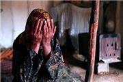 مستندی که خبرنگاران را شگفت زده کرد/ انتقاد کارگردان جوان از نگاه مسئولان به فیلم‌های مستند