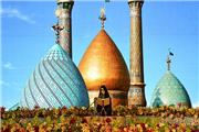 سعید اوحدی عضو شورای عالی فرهنگی آستان حضرت عبدالعظیم(ع) شد
