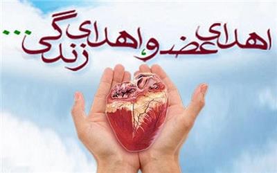 حضور ایران در کنگره سازمان فراهم آوری اهدا و پیوند اروپا