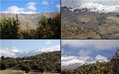 بارش اولین برف پاییزی ارتفاعات مناطق روستای گوشتخالی