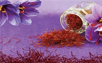 1200 هکتار از اراضی قنات بلده، زیر کشت زعفران