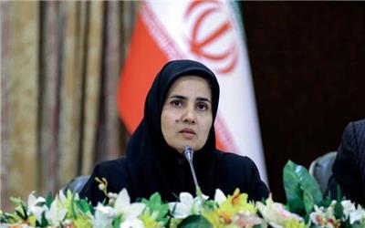 کارگروه مشورتی دولت، مجلس و شورای نگهبان درباره CFT تشکیل شد