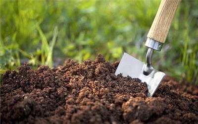 دبیر ستاد توسعه زیست‌فناوری خبر داد اجرای طرح آسیب‌شناسی زنجیره تولید تا مصرف کودهای زیستی