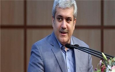 امیدوار به خروجی خوب نمایشگاه تقاضا محور هستیم