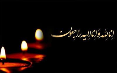 تسلیت وزیر بهداشت در پی درگذشت تعدادی از دانشجویان دانشگاه آزاد