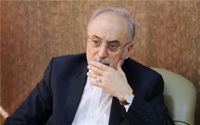 اقدامات اولیه برای طراحی سوخت مدرن 20 درصد آغاز شد