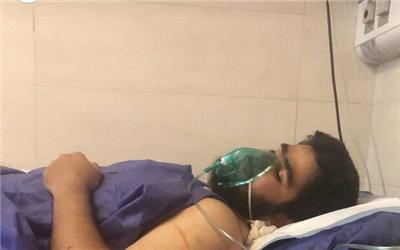 محل سکونت صاحبان سگی که چاقوکشی کرده بودند شناسایی شد