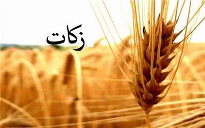 امسال 500 میلیارد تومان زکات در کشور جمع آوری می شود