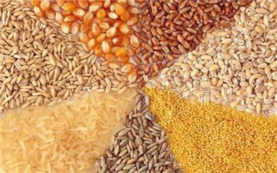 واردات گسترده مونوکلسیم فسفات با ارز دولتی؛ فروش به نرخ آزاد