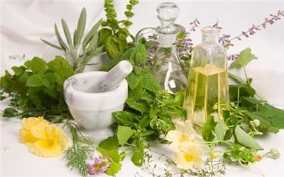 عرضه داروی گیاهی برای درمان زخم‌های گوارشی
