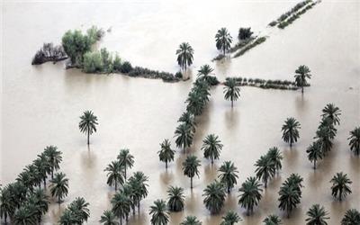 آخرین وضعیت مناطق سیل‌زده خوزستان از زبان رییس مجمع نمایندگان استان