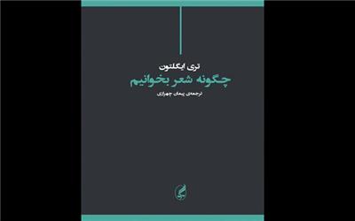 دفاعیه «تری ایگلتون» از شعر در زمانه ما