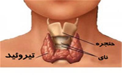 ارتباط بیماری تیروئید با ناباروری