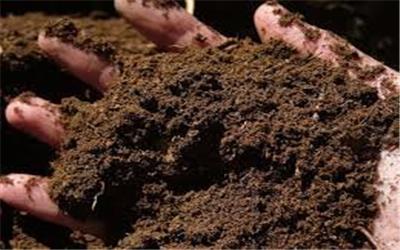 انتقال خاک به خارج از کشور ممنوع است