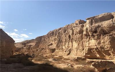 کشف آثار کهن جانوری در مسیل تاریخی پیرامون شهر تاریخی میبد