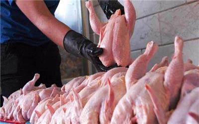 قیمت انواع گوشت، مرغ و ماهی در بازار تهران