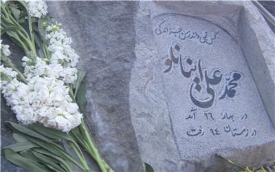 درختان جدیدی که به یاد مرد طبیعت کاشته می‌شود