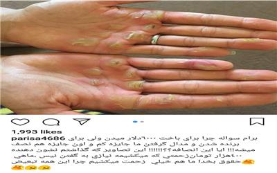 انتقاد بانوی ملی‌پوش قایقرانی از پاداش بازیکنان تیم ملی فوتبال+ عکس