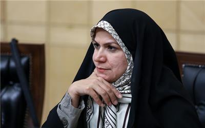 ذوالقدر: نظر اتحادیه اروپا پیوند بین اینستکس و FATF نیست