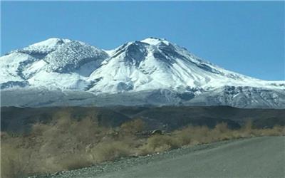 عروس زیبای کویر باردیگر خودنمایی می‌کند