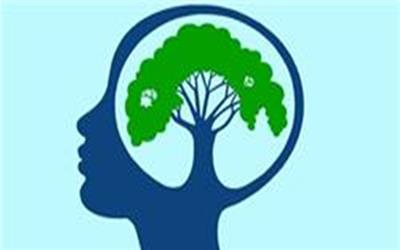 ثبت آرزوهای آموزشی در چهارسوق
