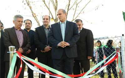 ورود فدراسیون به اتفاقات اخیر در فوتبال/ نشست مشترک کمیته‌ها