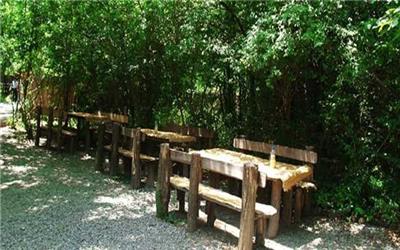 افتتاح سرزمین پرواز/ به زودی پارک حشرات غول‌پیکر نیز افتتاح می‌شود