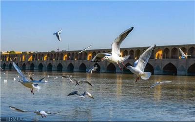 احیای دایمی زاینده رود با برنامه ریزی و تدبیر میسر است
