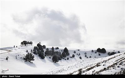 کاهش 10 درجه ای دما در برخی مناطق کشور