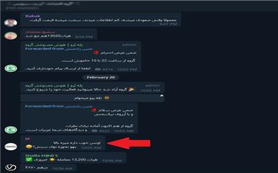 چرا دلالان مجازی همچنان فعالیت می‌کنند؟/ ضرورت سرعت بخشیدن به تشکیل بازار متشکل ارزی