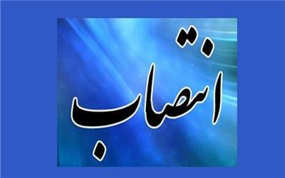 ظفرقندی به ریاست کلی سازمان نظام پزشکی منصوب شد