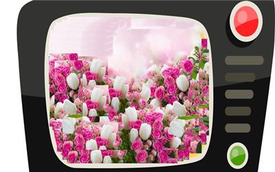 سریال‌های نوروزی تلویزیون کدامند؟ + ساعت پخش